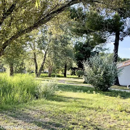 Charmante Maison Renovee T2 Bis 4 Pers Avec Terrasse A - Fr-1-705-17 Semesterbostad