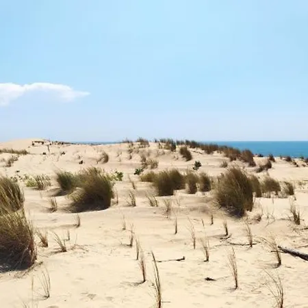 Сasa de vacaciones Charmante Maison Rénovée T2 Bis 4 Pers Avec Terrasse à - Fr-1-705-17 *